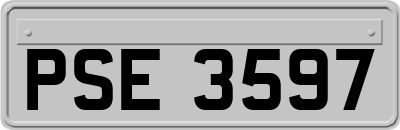 PSE3597