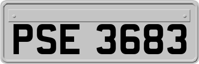 PSE3683