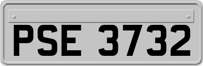 PSE3732