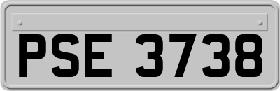 PSE3738