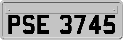 PSE3745