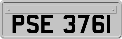 PSE3761