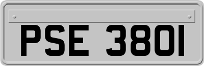 PSE3801
