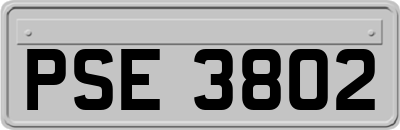 PSE3802