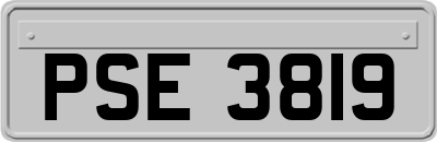PSE3819