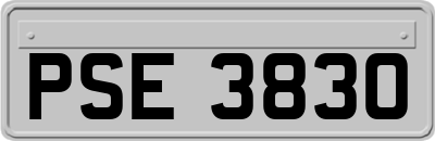 PSE3830