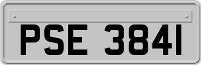 PSE3841