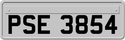 PSE3854