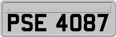PSE4087