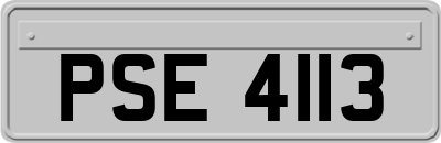 PSE4113