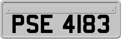 PSE4183
