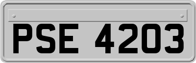 PSE4203