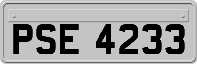 PSE4233