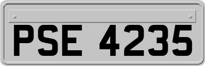 PSE4235
