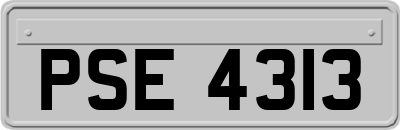 PSE4313