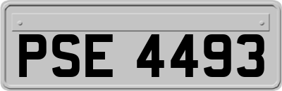 PSE4493