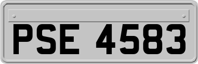 PSE4583
