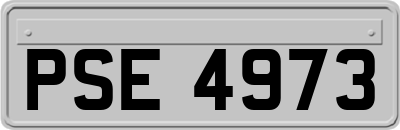 PSE4973