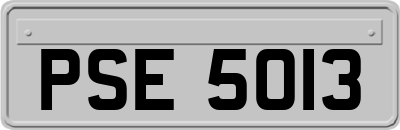 PSE5013