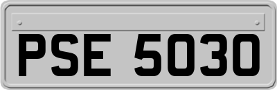 PSE5030
