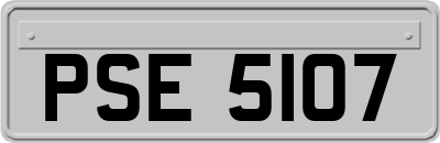 PSE5107