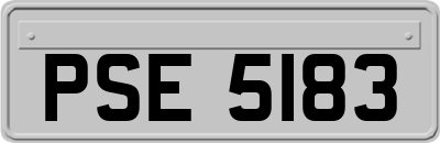 PSE5183