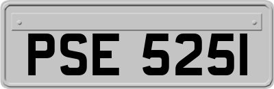 PSE5251