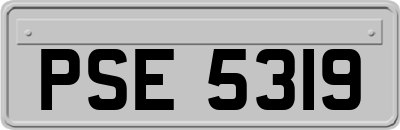 PSE5319
