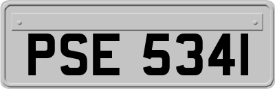 PSE5341
