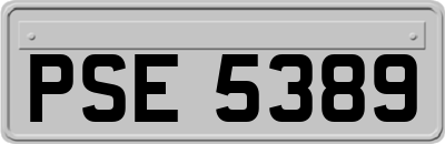 PSE5389
