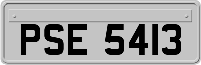 PSE5413