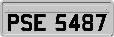 PSE5487