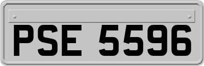 PSE5596