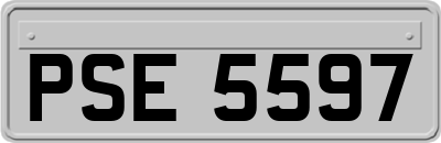 PSE5597