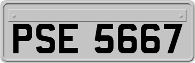 PSE5667