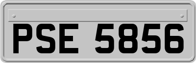 PSE5856