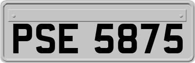 PSE5875