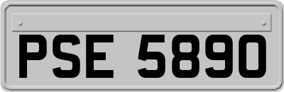PSE5890