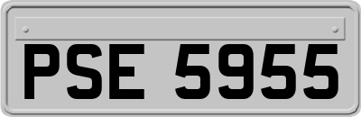 PSE5955
