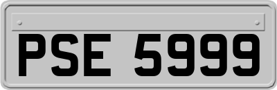 PSE5999