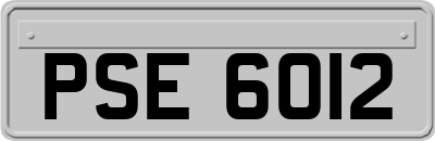 PSE6012