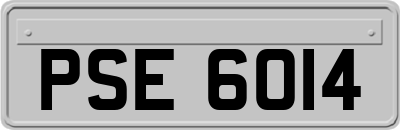 PSE6014