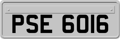 PSE6016