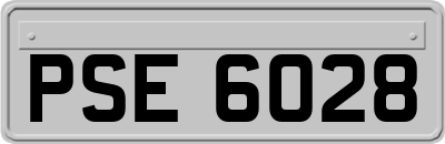 PSE6028