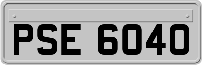 PSE6040