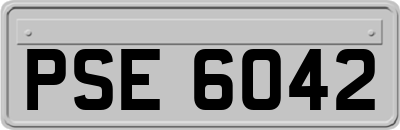 PSE6042