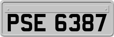 PSE6387