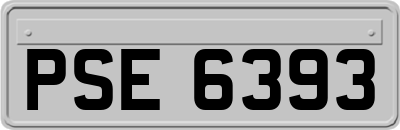 PSE6393