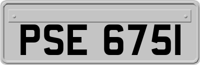 PSE6751