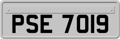 PSE7019